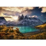 Puzzle 1000 pièces : Alexander, Guanacos