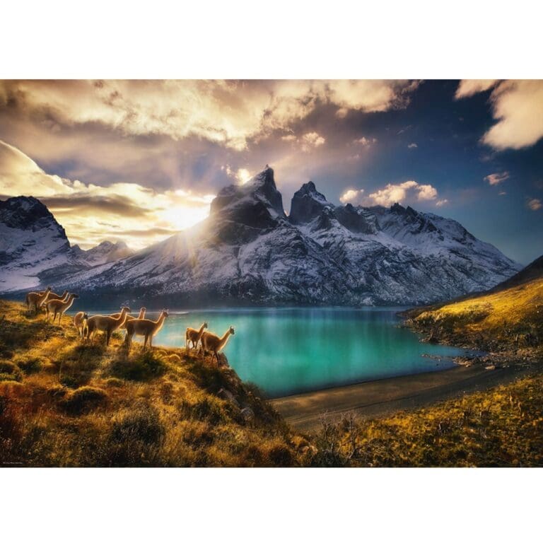 Puzzle 1000 pièces : Alexander, Guanacos