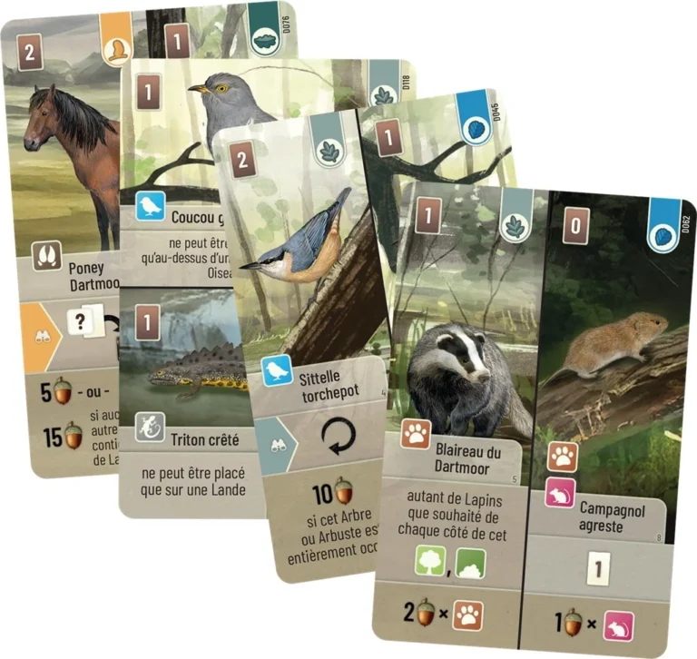 foret mixte dartmoor 2