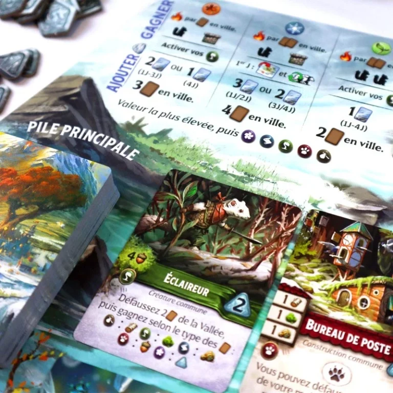 Cartes et règles d’un jeu de société illustré