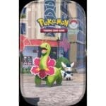 Boîte Pokémon Trading Card Game avec Florges et Mimi-Chon